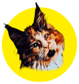 Il logo di Michinico Maine Coon